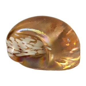 Iridescent Pink White Speckles Art Glass Snail Shell Paperweight 3"
